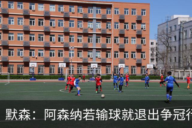 默森：阿森纳若输球就退出争冠行列 本场极其重要